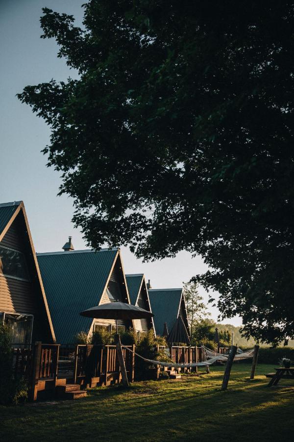 Het Wylde Pad - Let'S Go Wylde! Hotel Twijzelerheide Kültér fotó